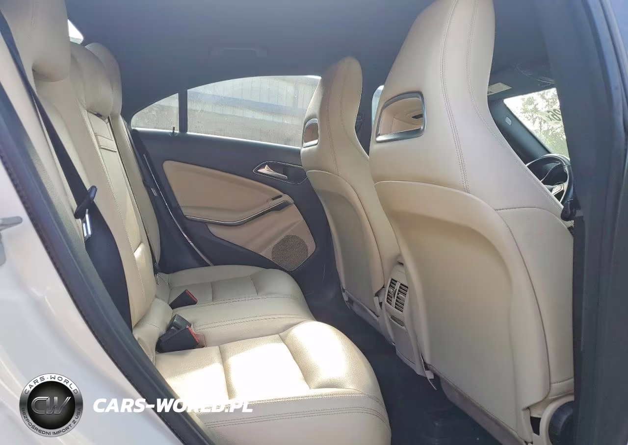 2016 Mercedes-Benz Cla 250 VIN:WDDSJ4EB1GN325508 - 10