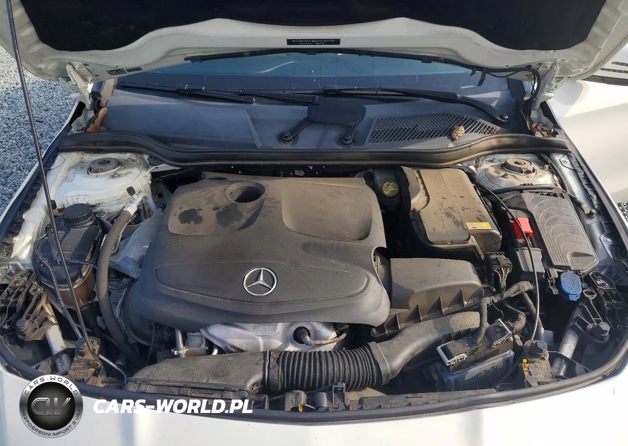 2016 Mercedes-Benz Cla 250 VIN:WDDSJ4EB1GN325508 - 11
