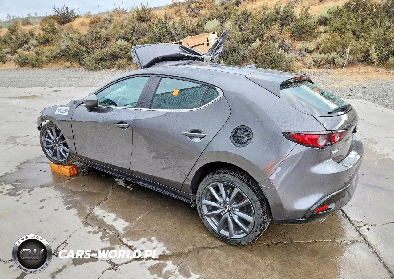 2019 Mazda 3 Preferred VIN:JM1BPAMMXK1141761 - 2