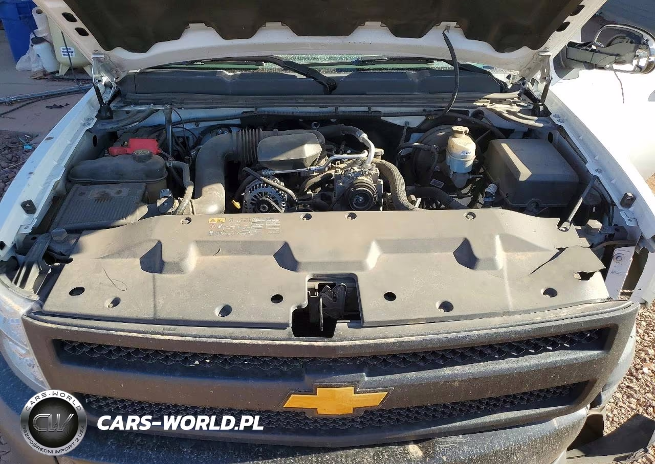 2013 Chevrolet Silverado C1500 VIN:1GCRCPEX4DZ138039 - 11