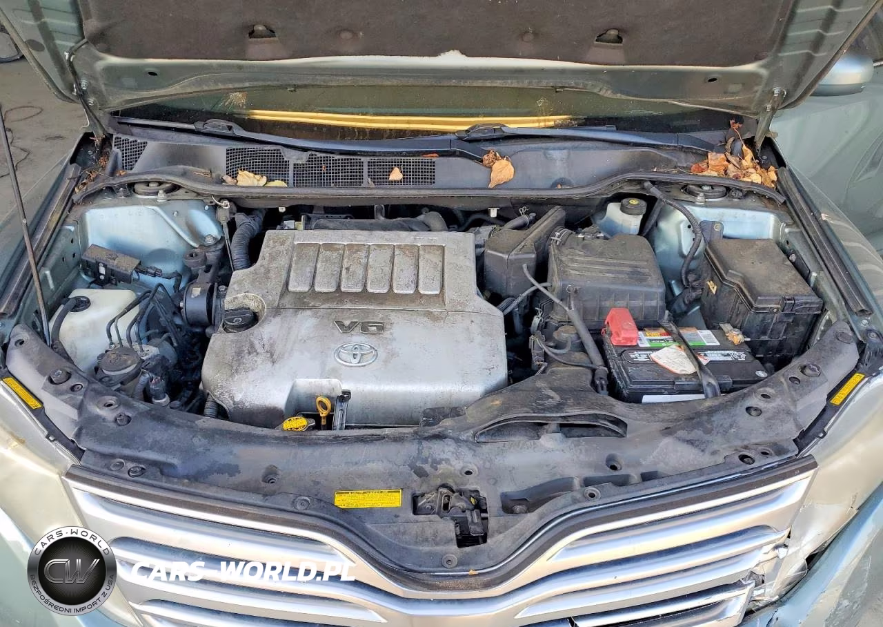 2010 Toyota Venza Awd V6 VIN:4T3BK3BB2AU034375 - 12