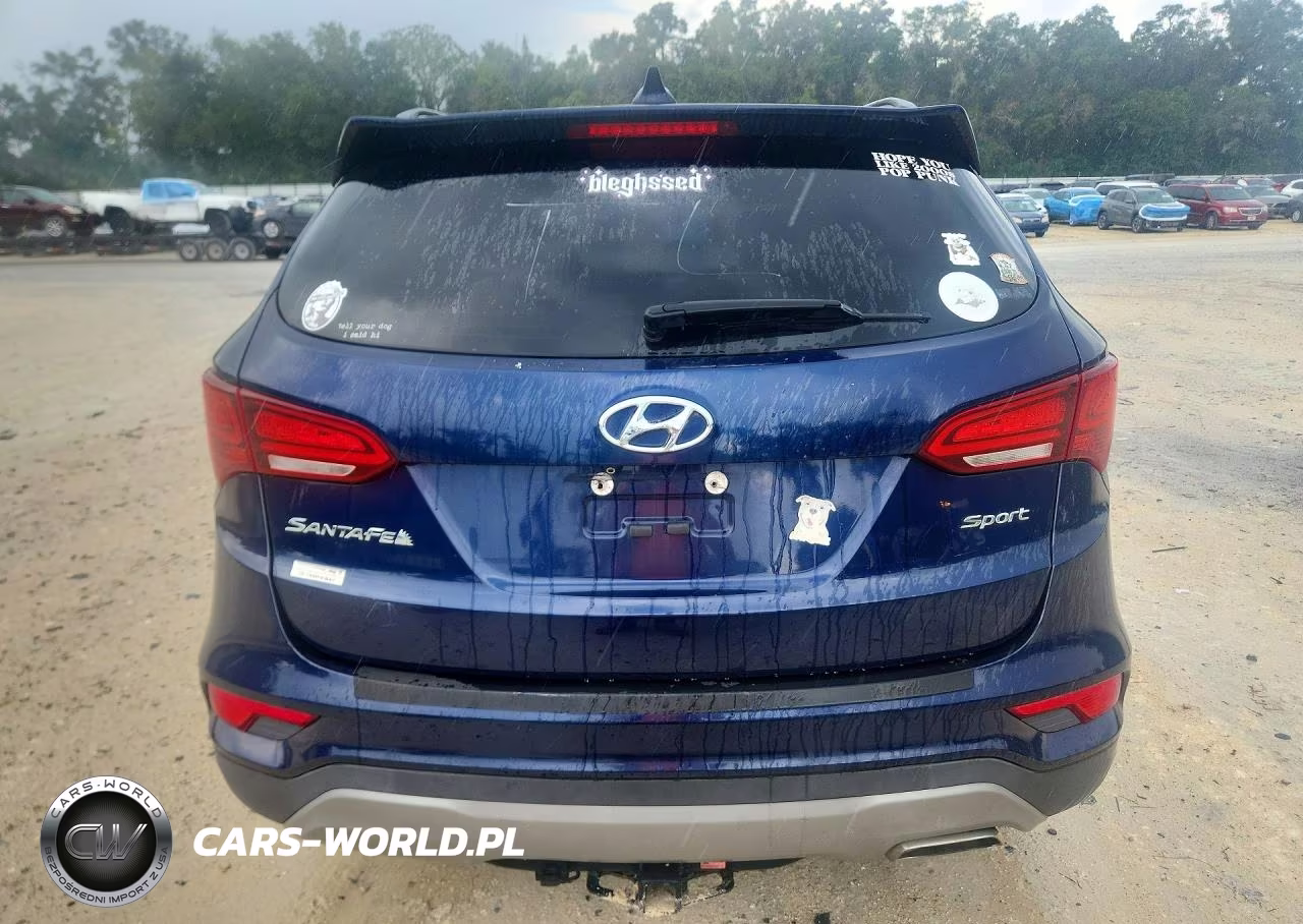 2017 Hyundai Santa Fe Sport 2.4L VIN:5XYZU3LB7HG448431 - 6