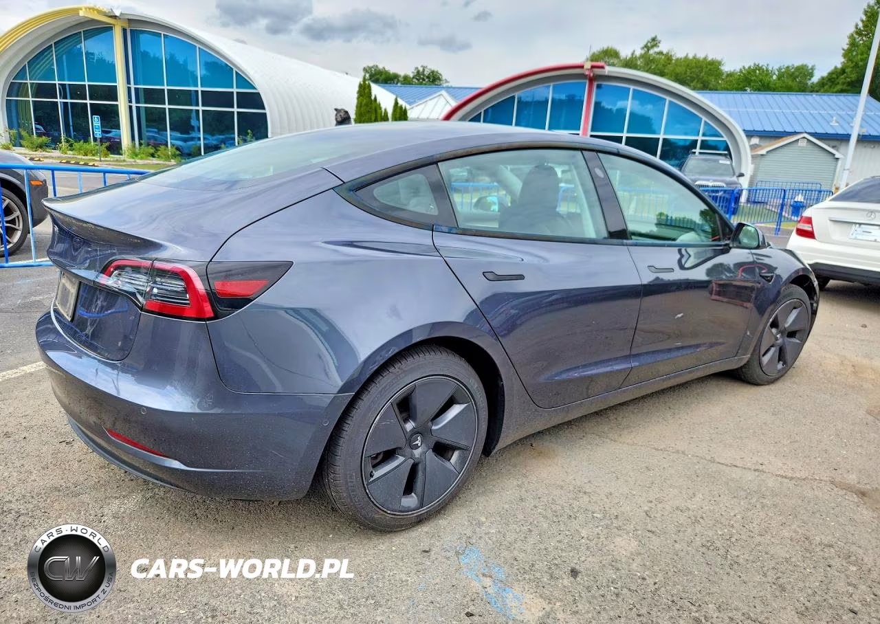 2021 Tesla Model 3 VIN:5YJ3E1EA4MF961374 - 3