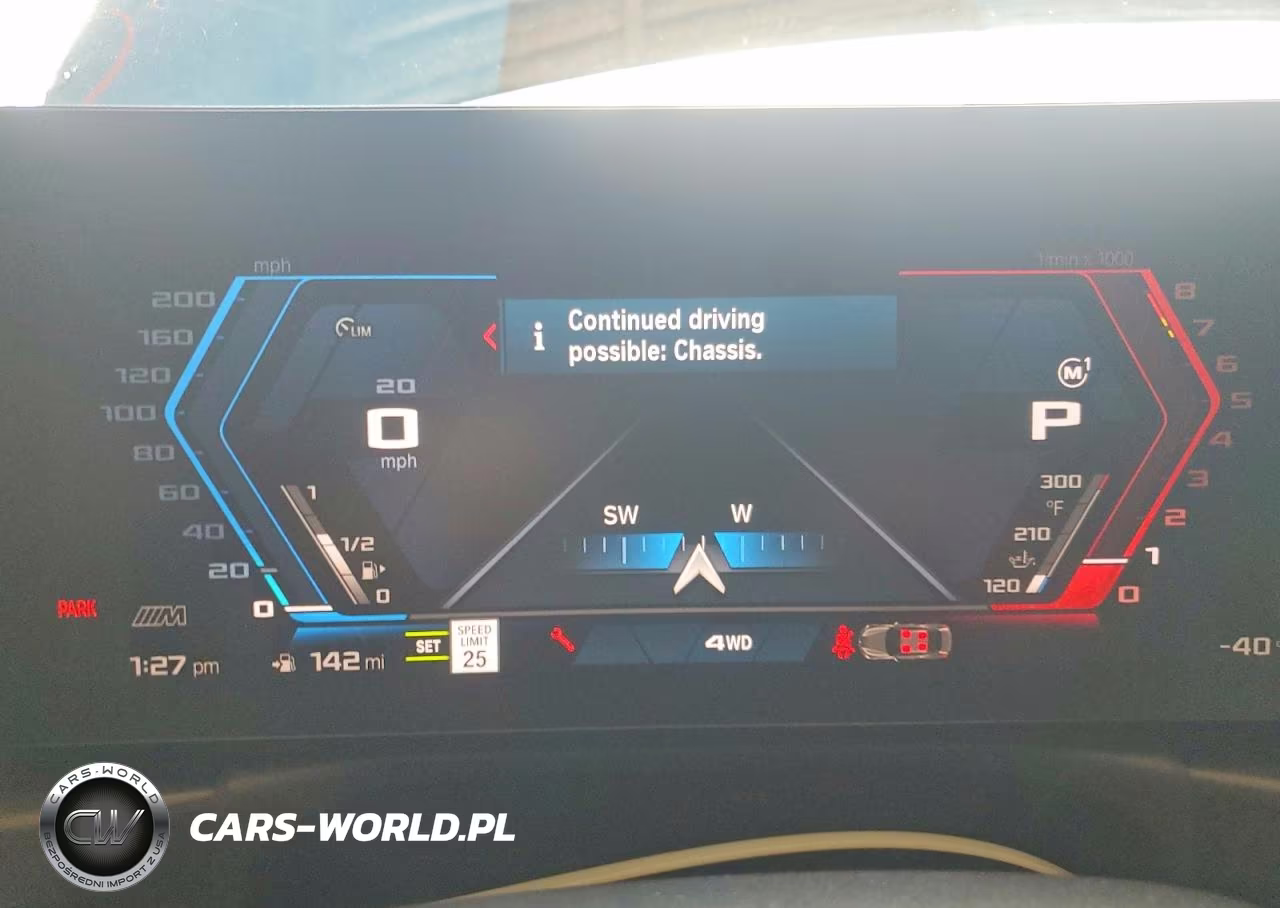 2025 BMW M4 Cs VIN:WBS43HK00SCU29671 - 9