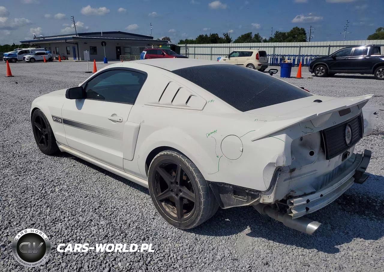 2009 Ford Mustang Gt VIN:1ZVHT82H795128454 - 2