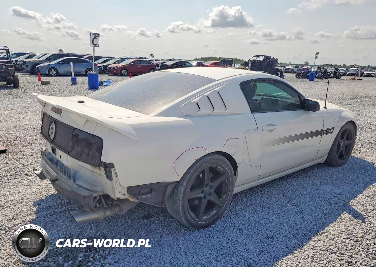 2009 Ford Mustang Gt VIN:1ZVHT82H795128454 - 3