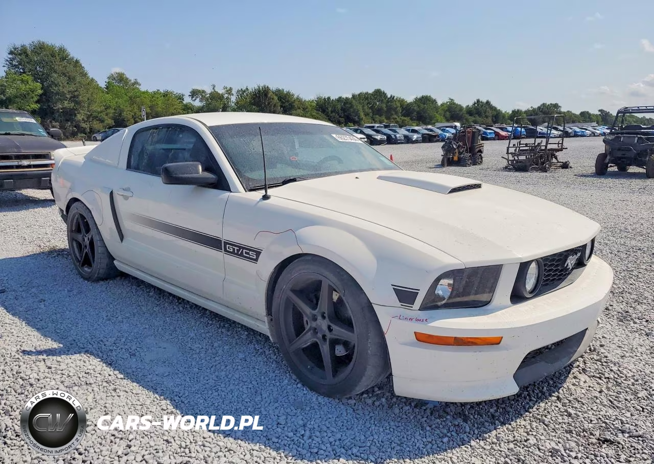 2009 Ford Mustang Gt VIN:1ZVHT82H795128454 - 4
