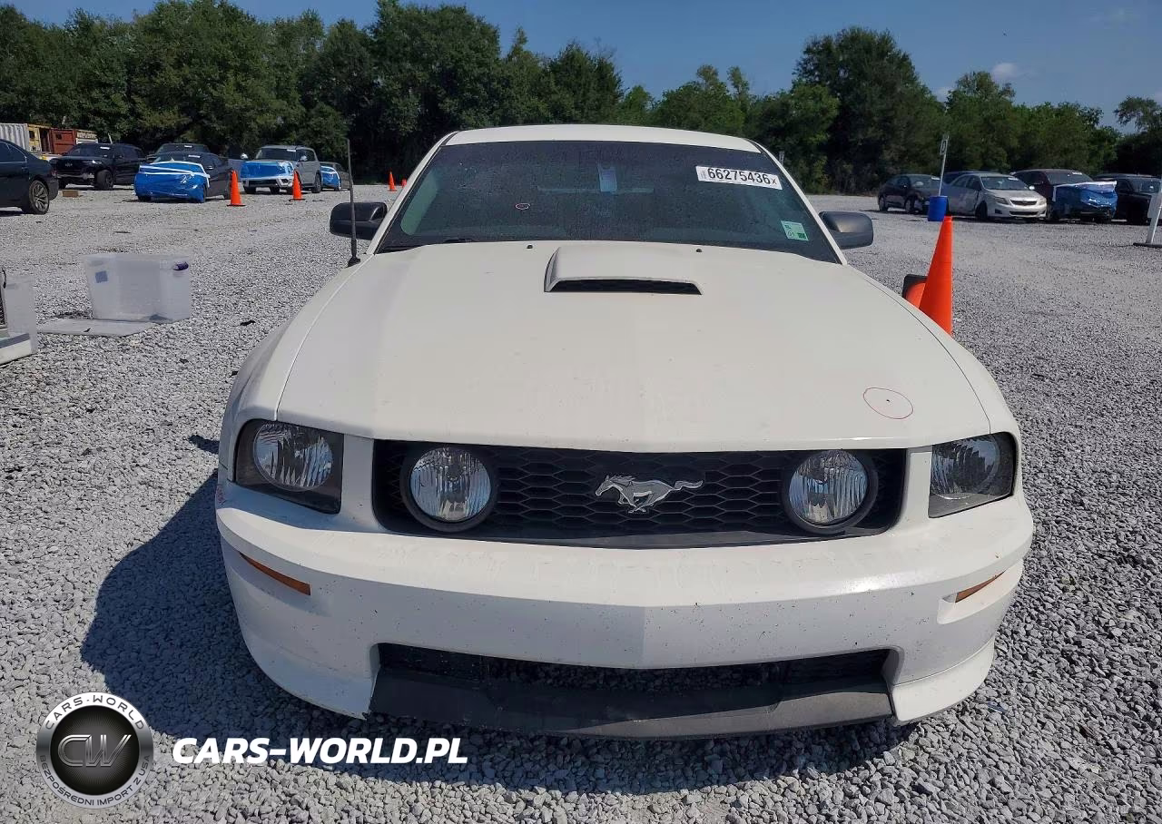2009 Ford Mustang Gt VIN:1ZVHT82H795128454 - 5