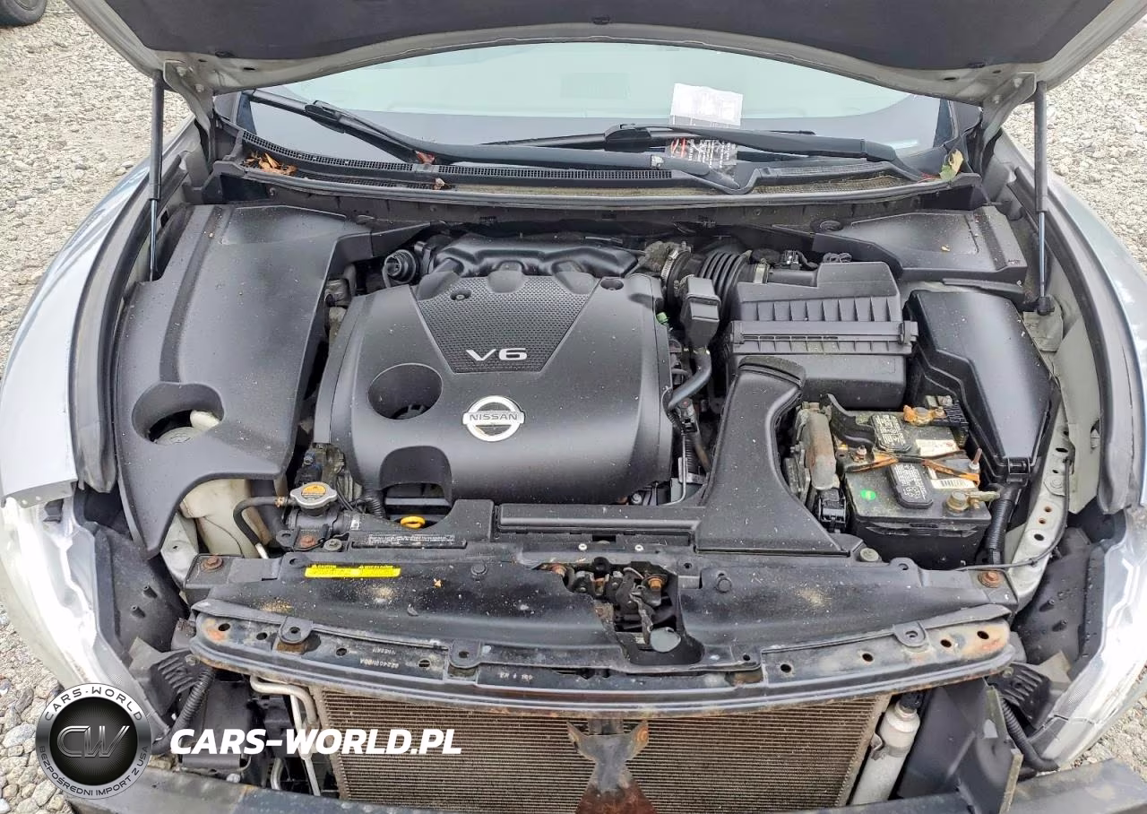 2009 Nissan Maxima 3.5 S VIN:1N4AA51E19C801448 - 11