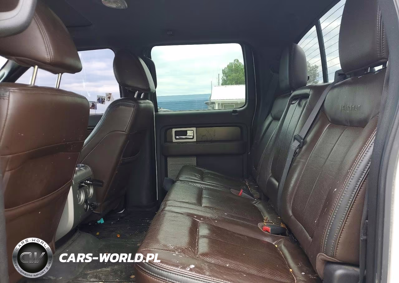 2010 Ford F150 Supercrew VIN:1FTFW1EV2AFD43295 - 10