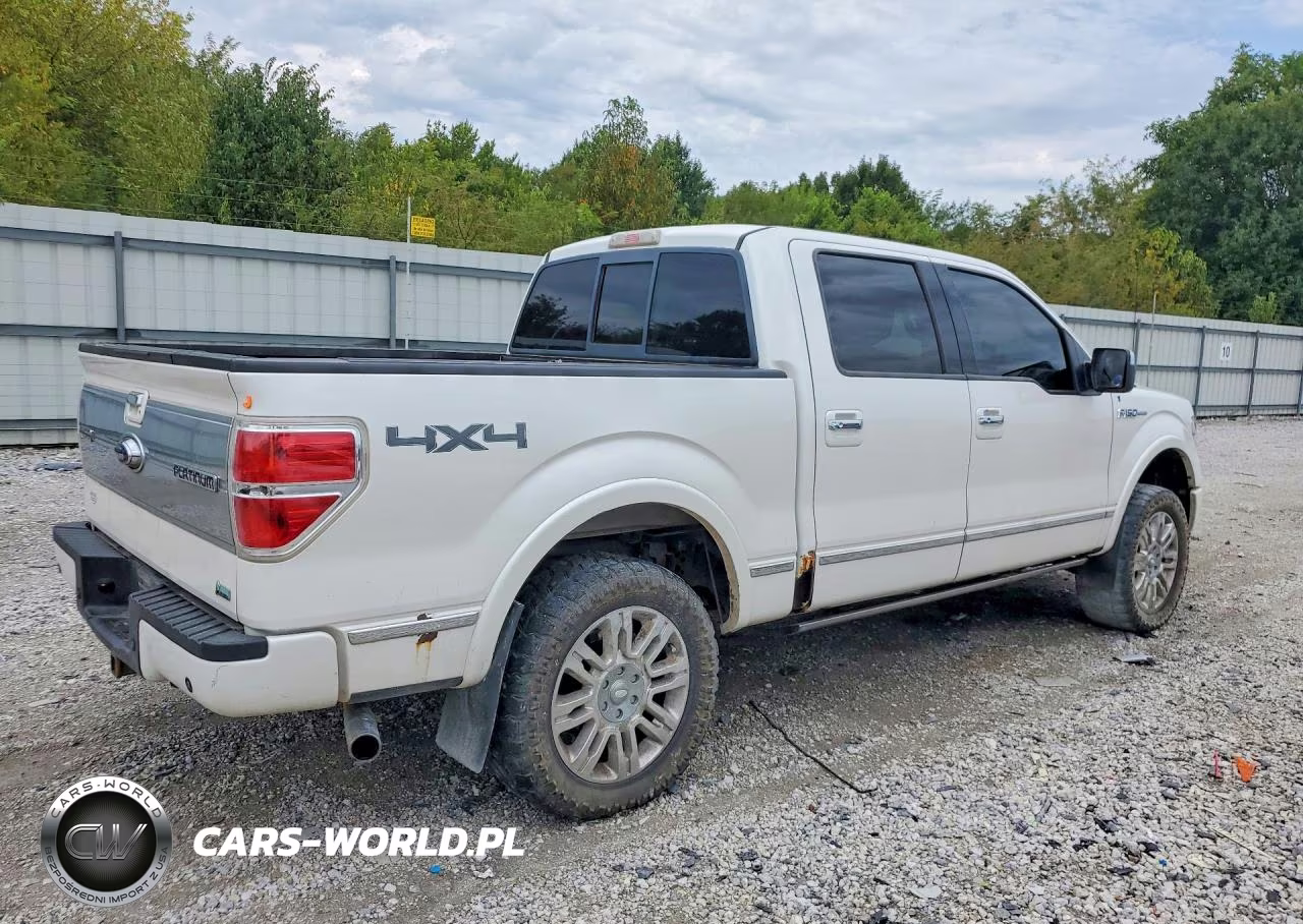 2010 Ford F150 Supercrew VIN:1FTFW1EV2AFD43295 - 3