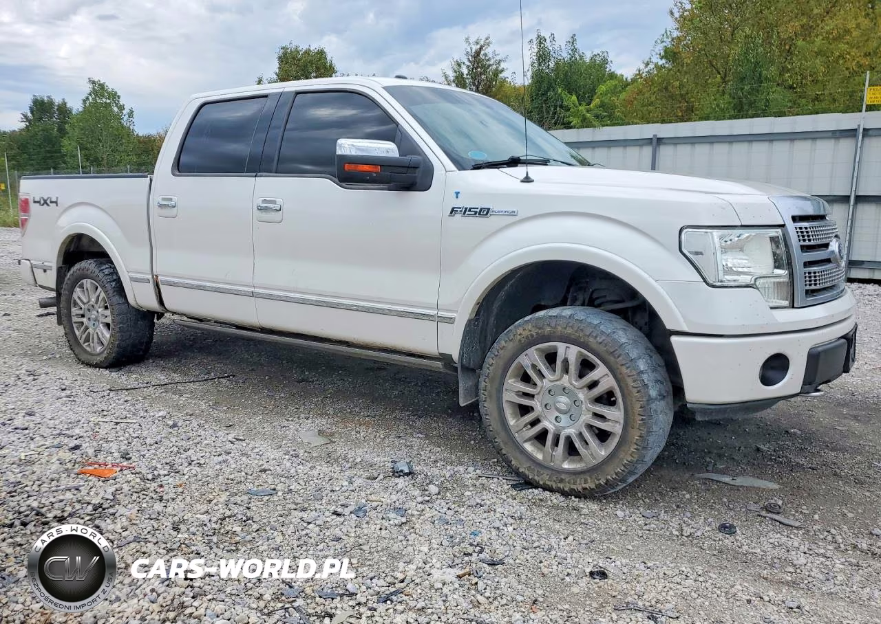 2010 Ford F150 Supercrew VIN:1FTFW1EV2AFD43295 - 4