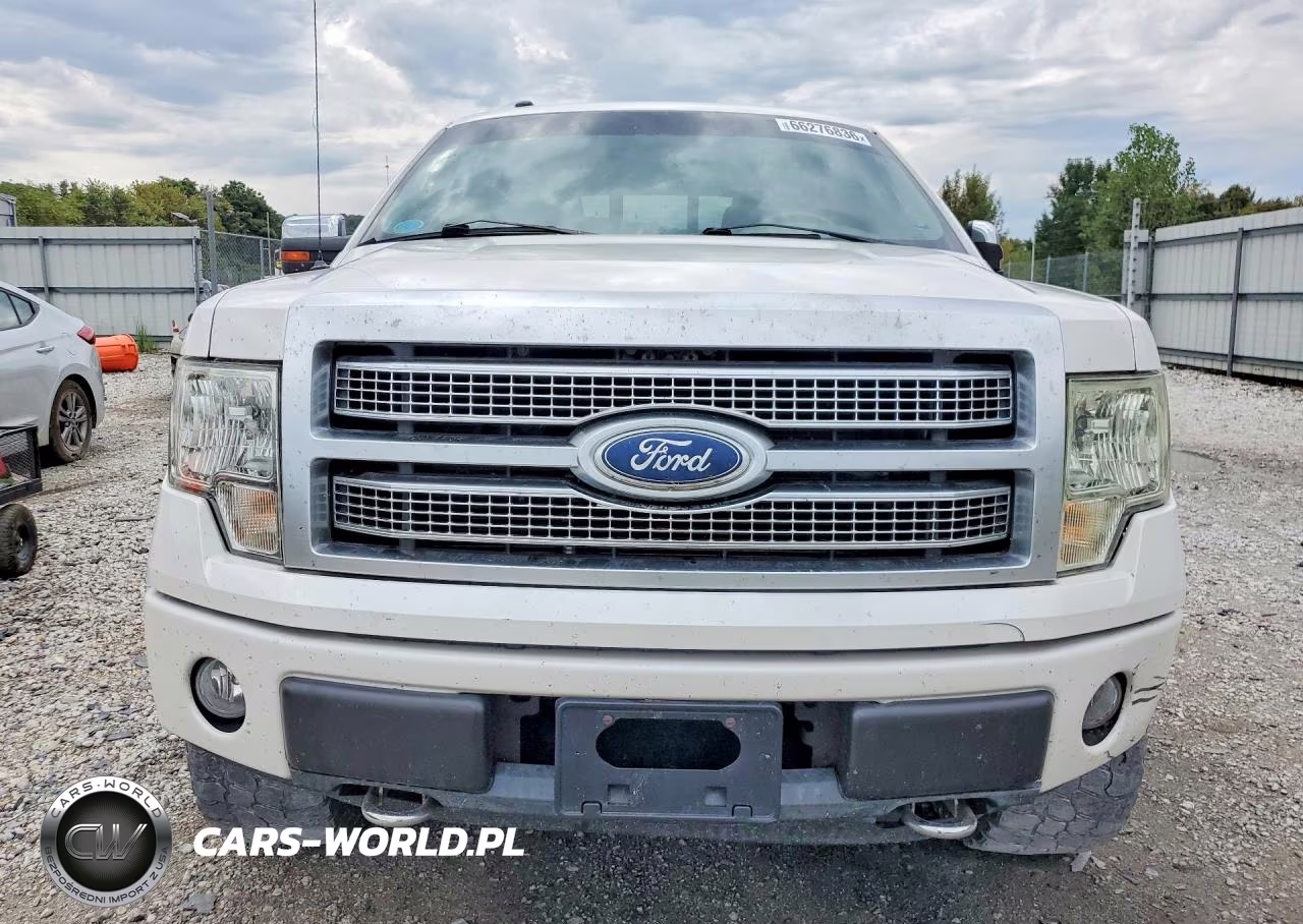 2010 Ford F150 Supercrew VIN:1FTFW1EV2AFD43295 - 5