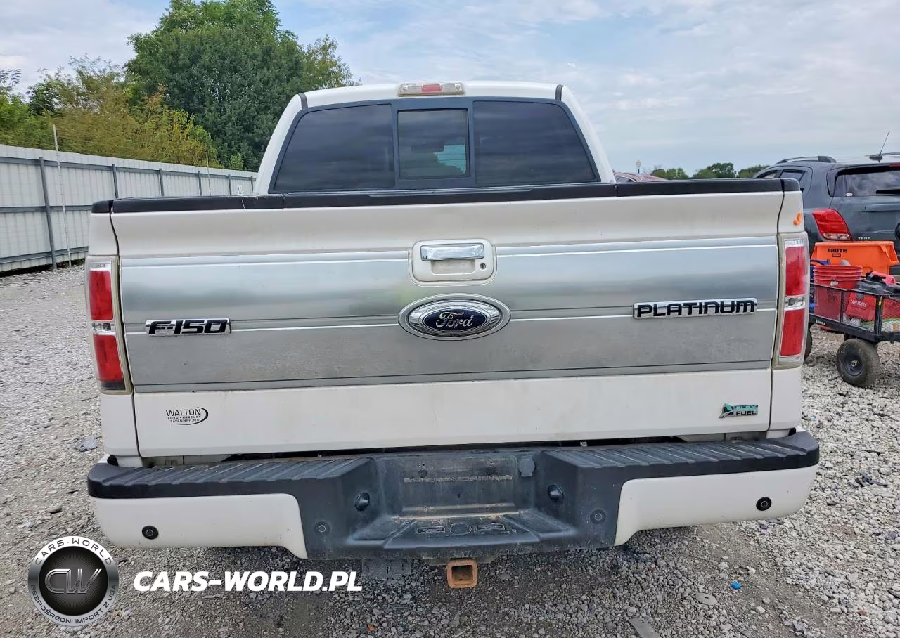 2010 Ford F150 Supercrew VIN:1FTFW1EV2AFD43295 - 6