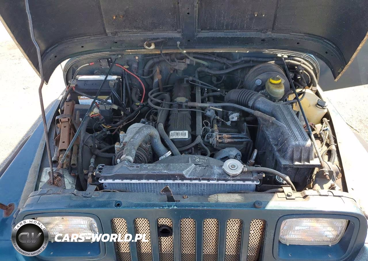 1995 Jeep Wrangler - Yj Se VIN:1J4FY29S2SP239217 - 11