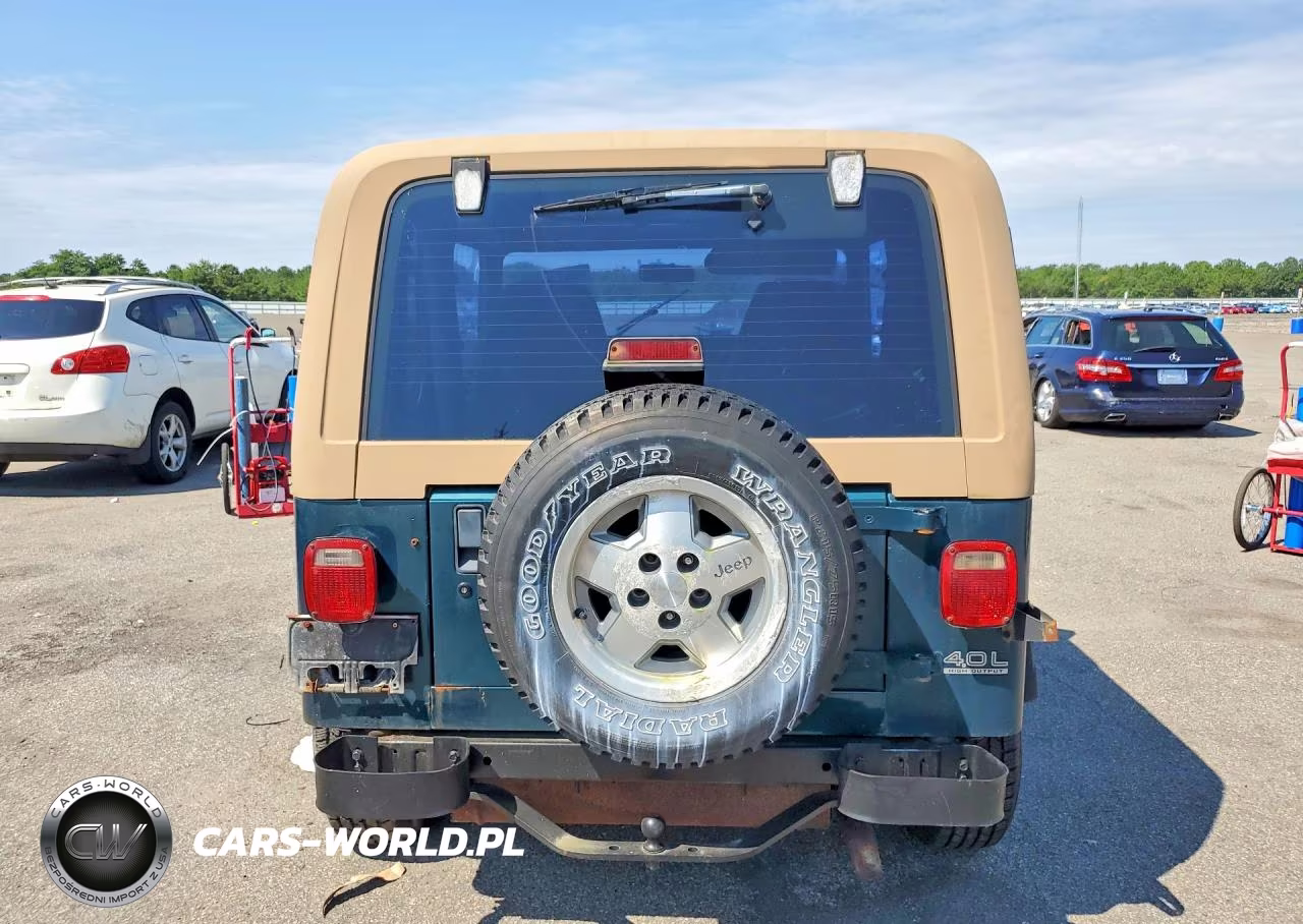 1995 Jeep Wrangler - Yj Se VIN:1J4FY29S2SP239217 - 6