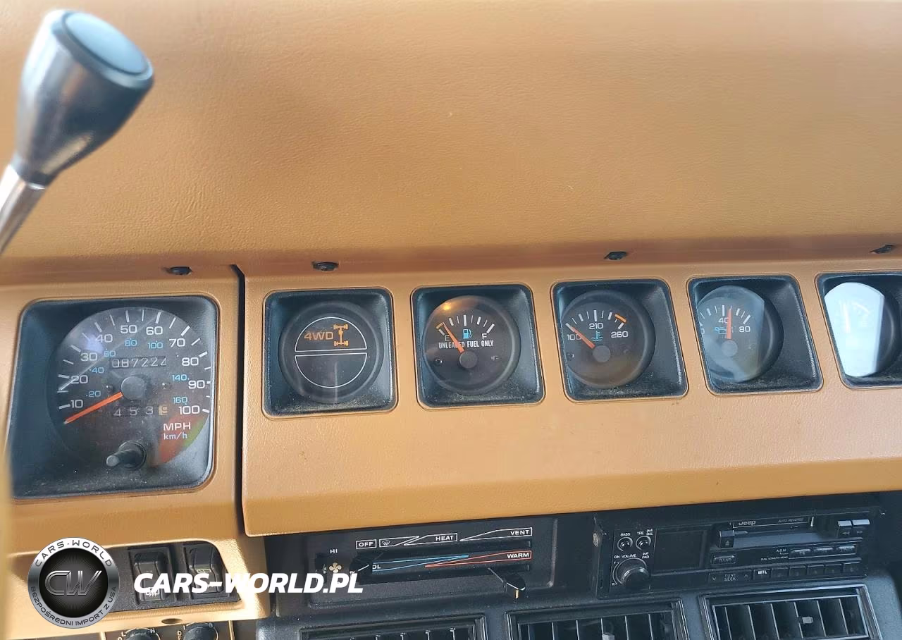 1995 Jeep Wrangler - Yj Se VIN:1J4FY29S2SP239217 - 9