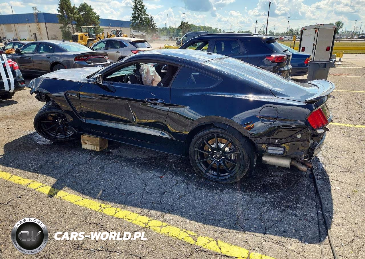 2017 Ford Mustang Shelby Gt350 VIN:1FA6P8JZ2H5526183 - 2