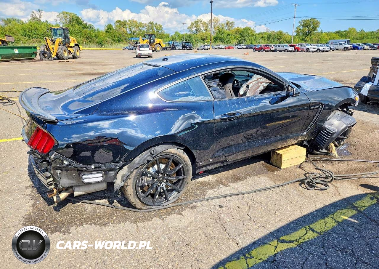2017 Ford Mustang Shelby Gt350 VIN:1FA6P8JZ2H5526183 - 3