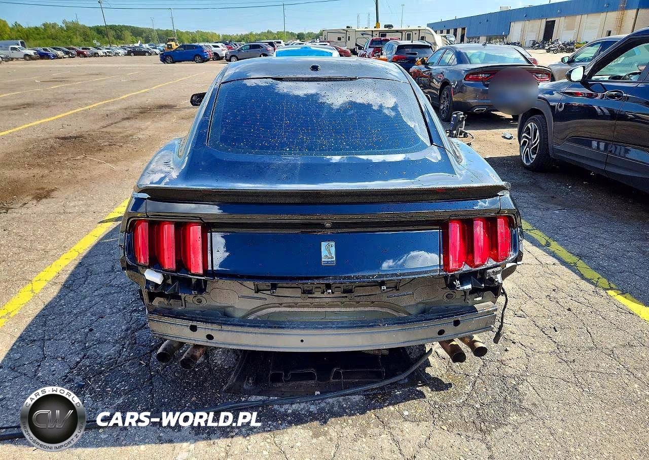 2017 Ford Mustang Shelby Gt350 VIN:1FA6P8JZ2H5526183 - 6