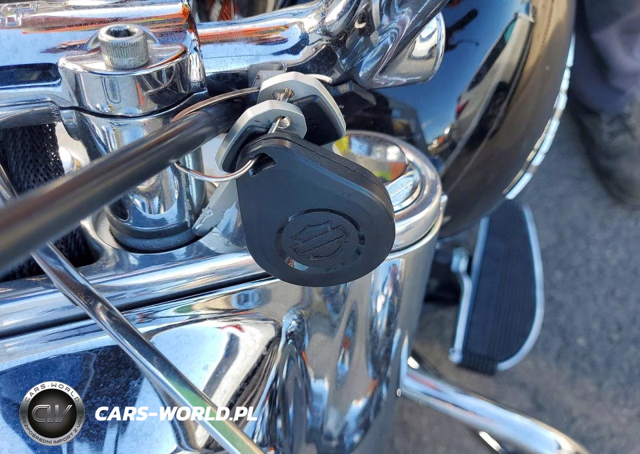 2018 Harley-Davidson Flde Deluxe VIN:1HD1YCJ13JC054817 - 8