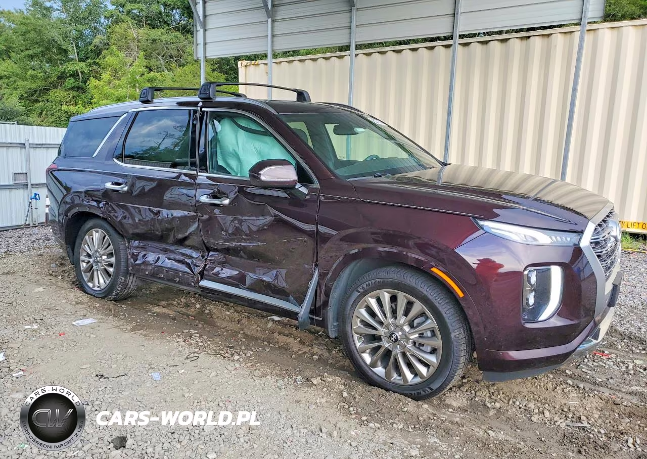 2020 Hyundai Palisade Limited VIN:KM8R5DHE4LU084445 - 4
