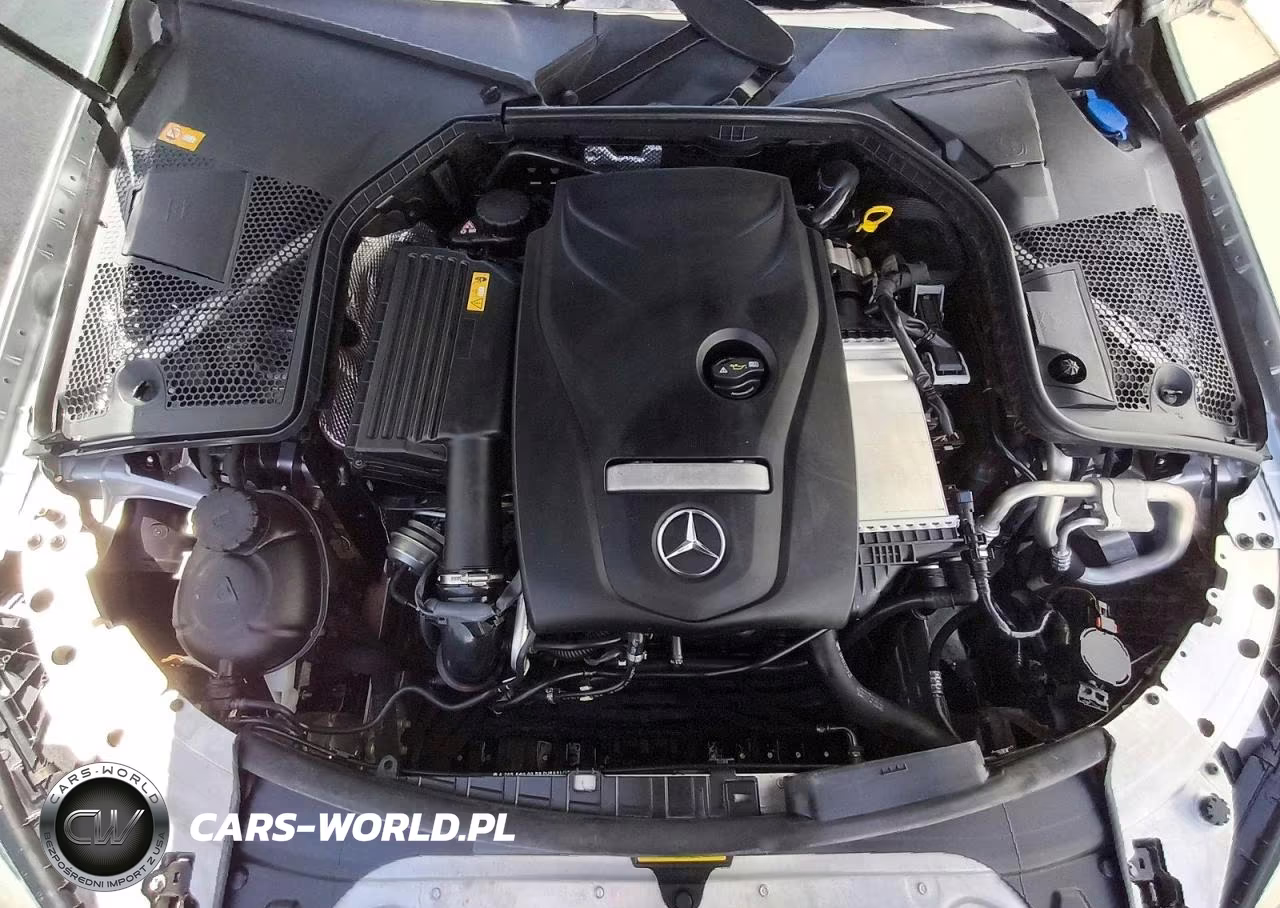 2017 Mercedes-Benz C 300 VIN:WDDWJ4JB2HF336665 - 11