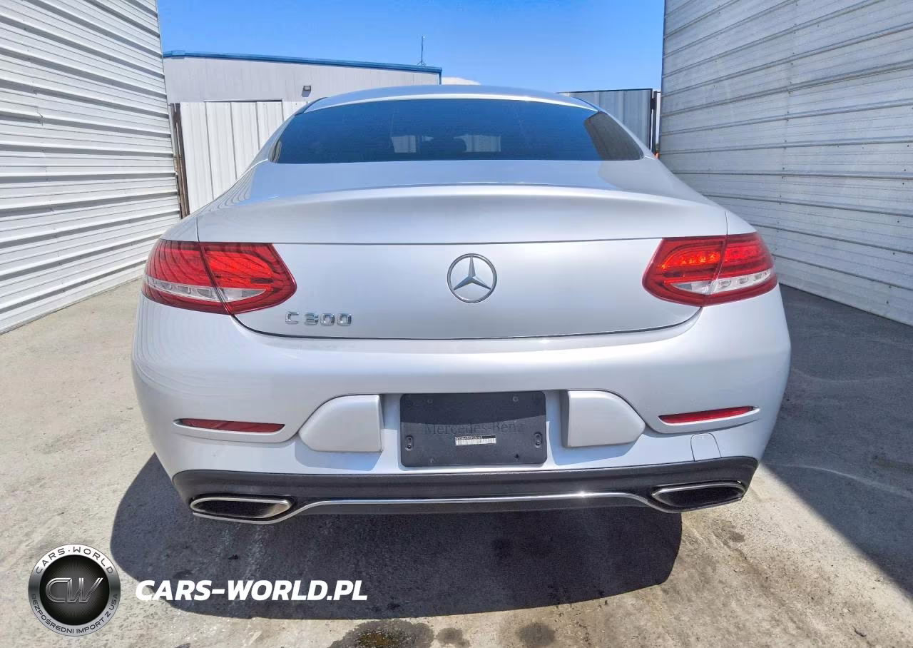 2017 Mercedes-Benz C 300 VIN:WDDWJ4JB2HF336665 - 6