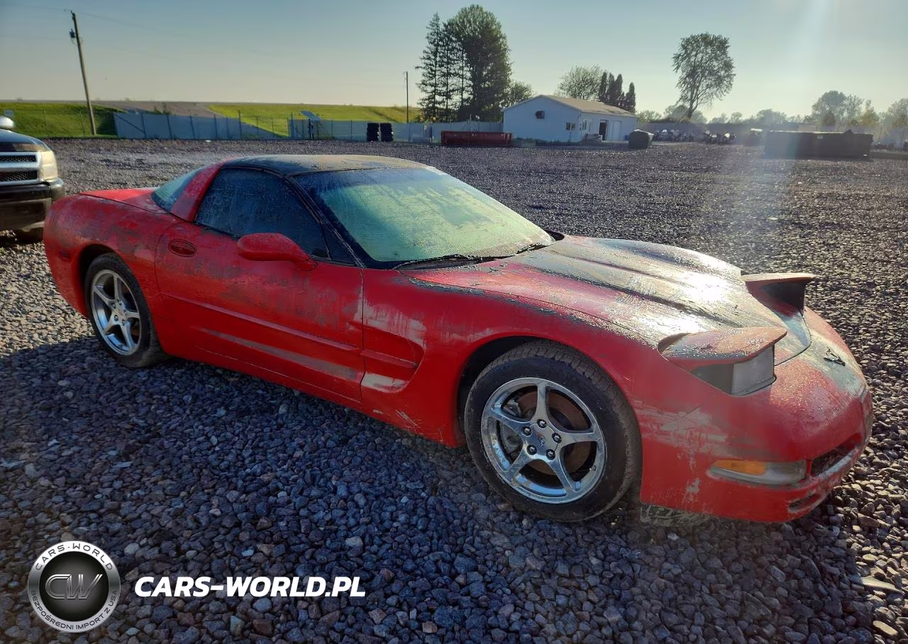 2002 Chevrolet Corvette VIN:1G1YY22G425118164 - 4