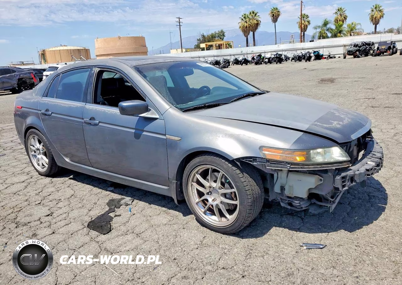 2004 Acura Tl VIN:19UUA65564A028893 - 4