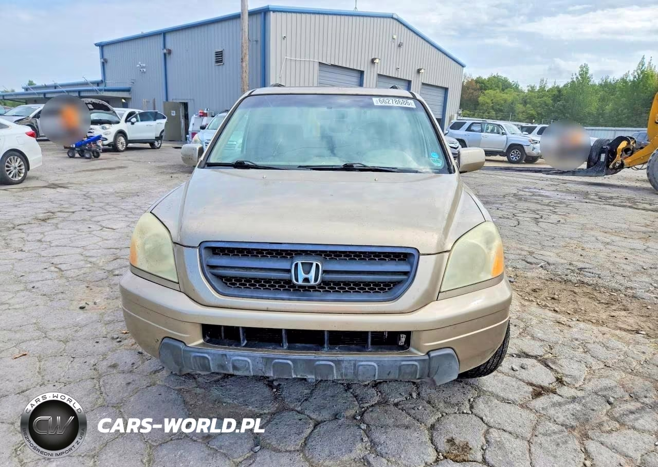 2005 Honda Pilot Exl VIN:5FNYF18595B017248 - 5