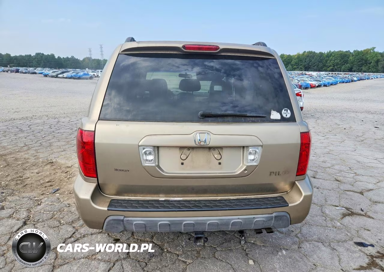 2005 Honda Pilot Exl VIN:5FNYF18595B017248 - 6