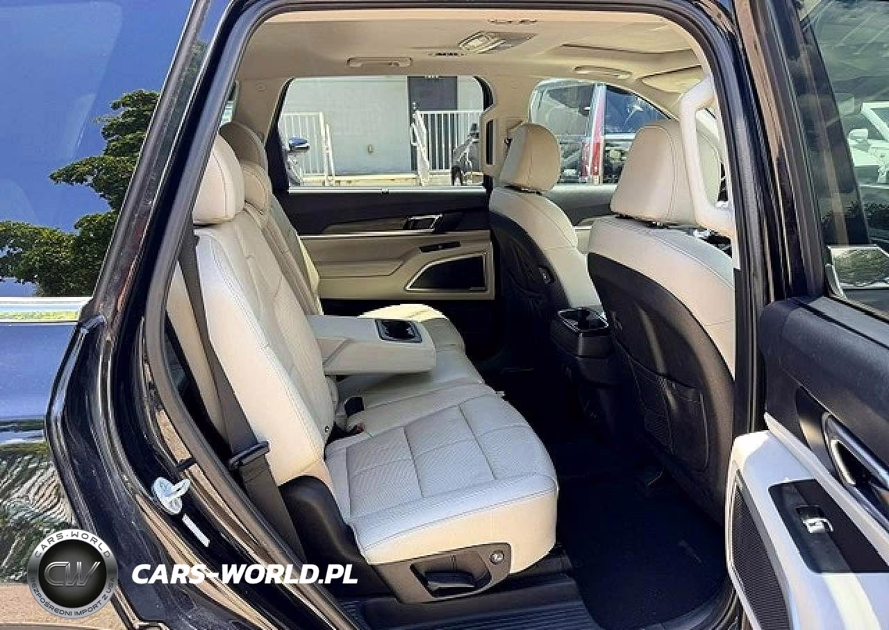 2020 Kia Telluride Ex VIN:5XYP3DHC3LG005381 - 11
