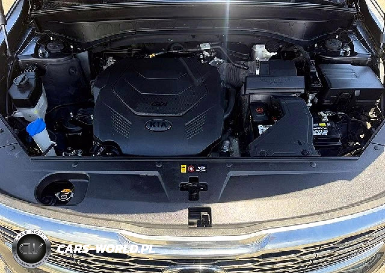 2020 Kia Telluride Ex VIN:5XYP3DHC3LG005381 - 14