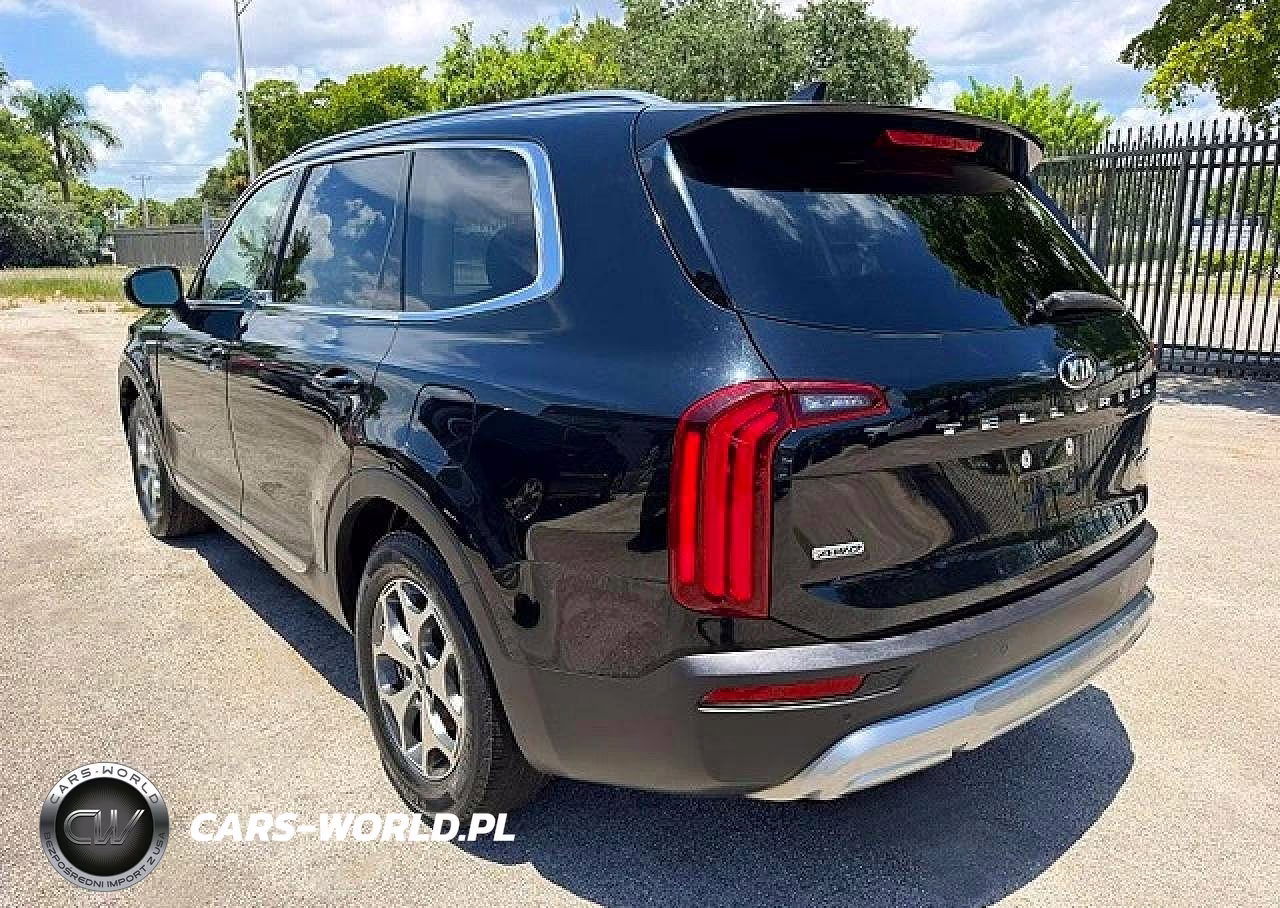 2020 Kia Telluride Ex VIN:5XYP3DHC3LG005381 - 2