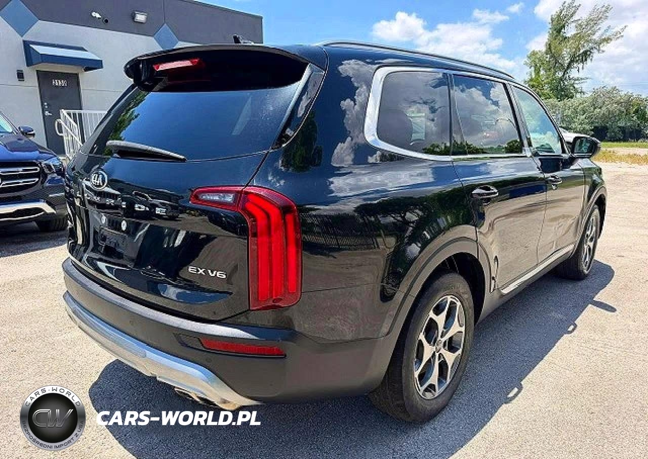 2020 Kia Telluride Ex VIN:5XYP3DHC3LG005381 - 3