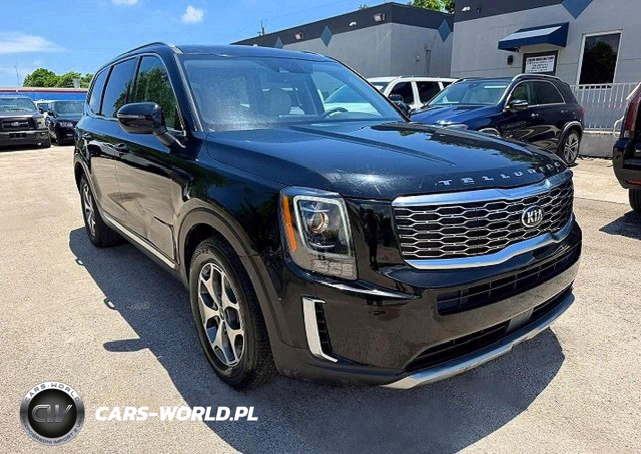 2020 Kia Telluride Ex VIN:5XYP3DHC3LG005381 - 4