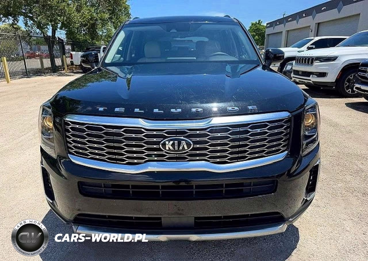 2020 Kia Telluride Ex VIN:5XYP3DHC3LG005381 - 5