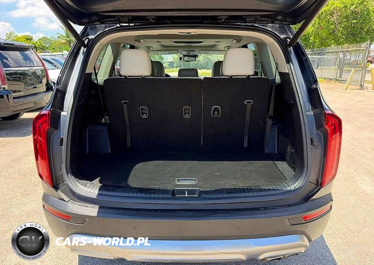 2020 Kia Telluride Ex VIN:5XYP3DHC3LG005381 - 6