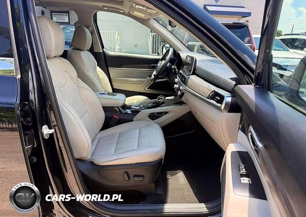 2020 Kia Telluride Ex VIN:5XYP3DHC3LG005381 - 7