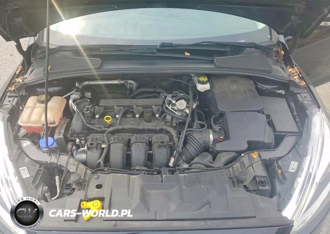 2017 Ford Focus Titanium VIN:1FADP3N20HL296369 - 12