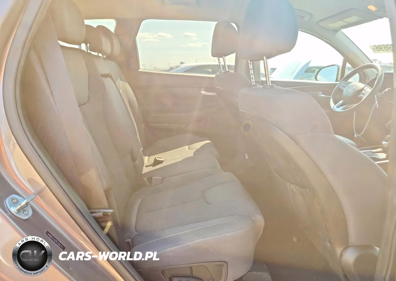 2020 Hyundai Santa Fe Sel VIN:5NMS3CAD9LH226271 - 10