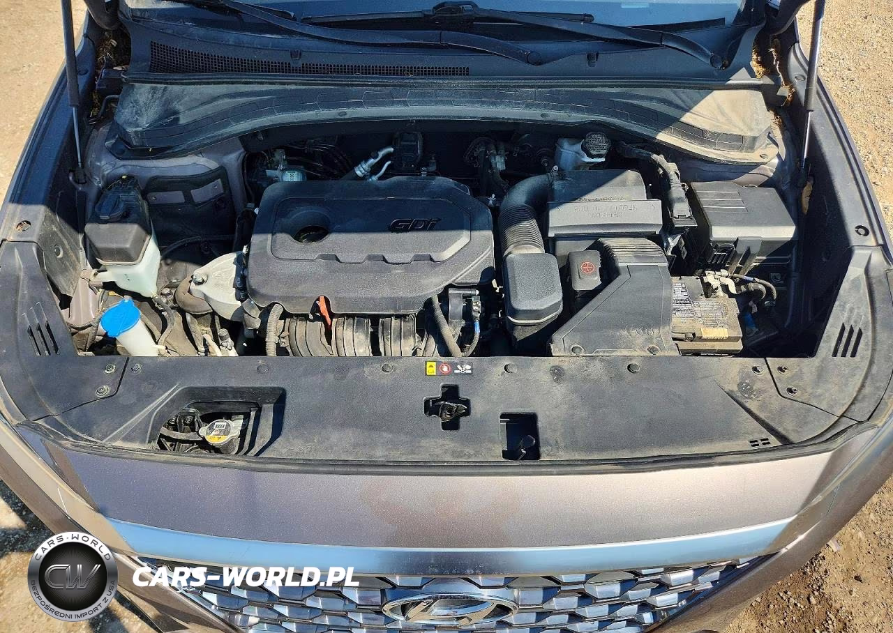 2020 Hyundai Santa Fe Sel VIN:5NMS3CAD9LH226271 - 11