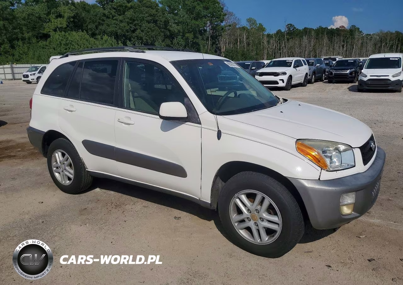 2001 Toyota Rav4 Base VIN:JTEGH20V410015189 - 4