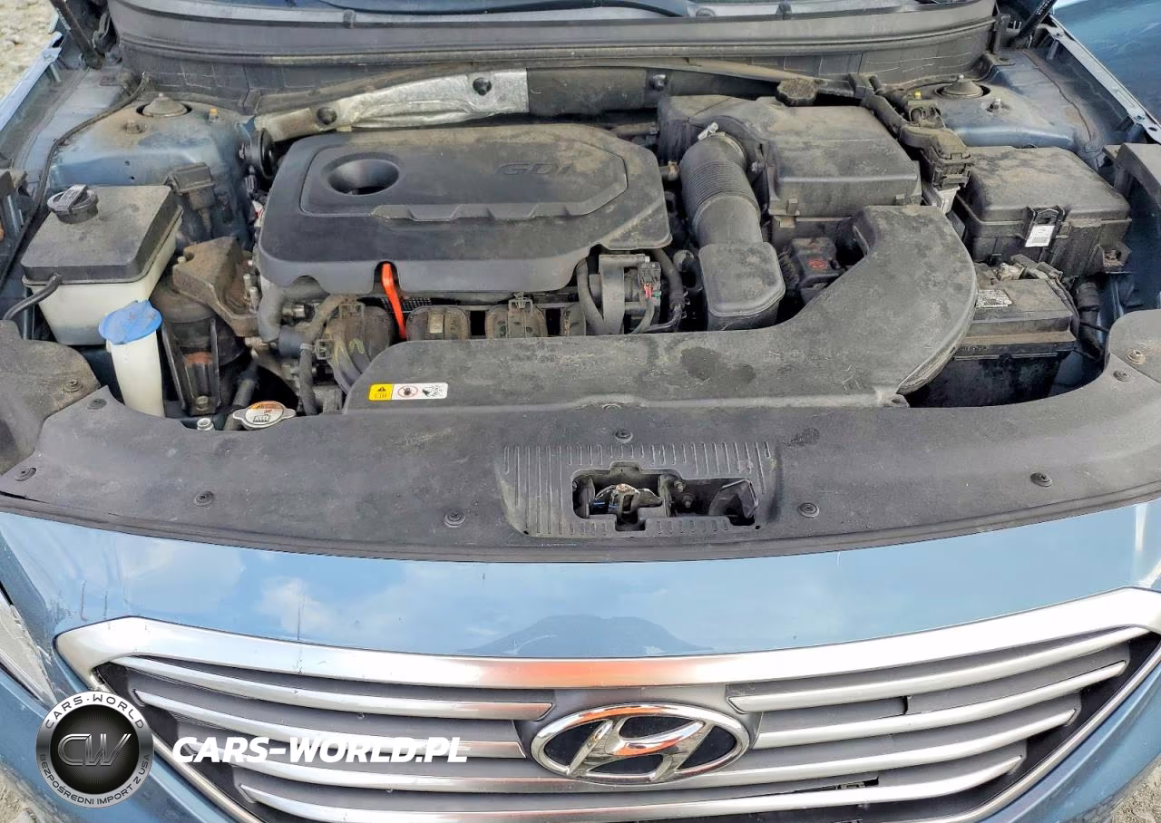 2015 Hyundai Sonata Se VIN:5NPE24AF6FH192790 - 11