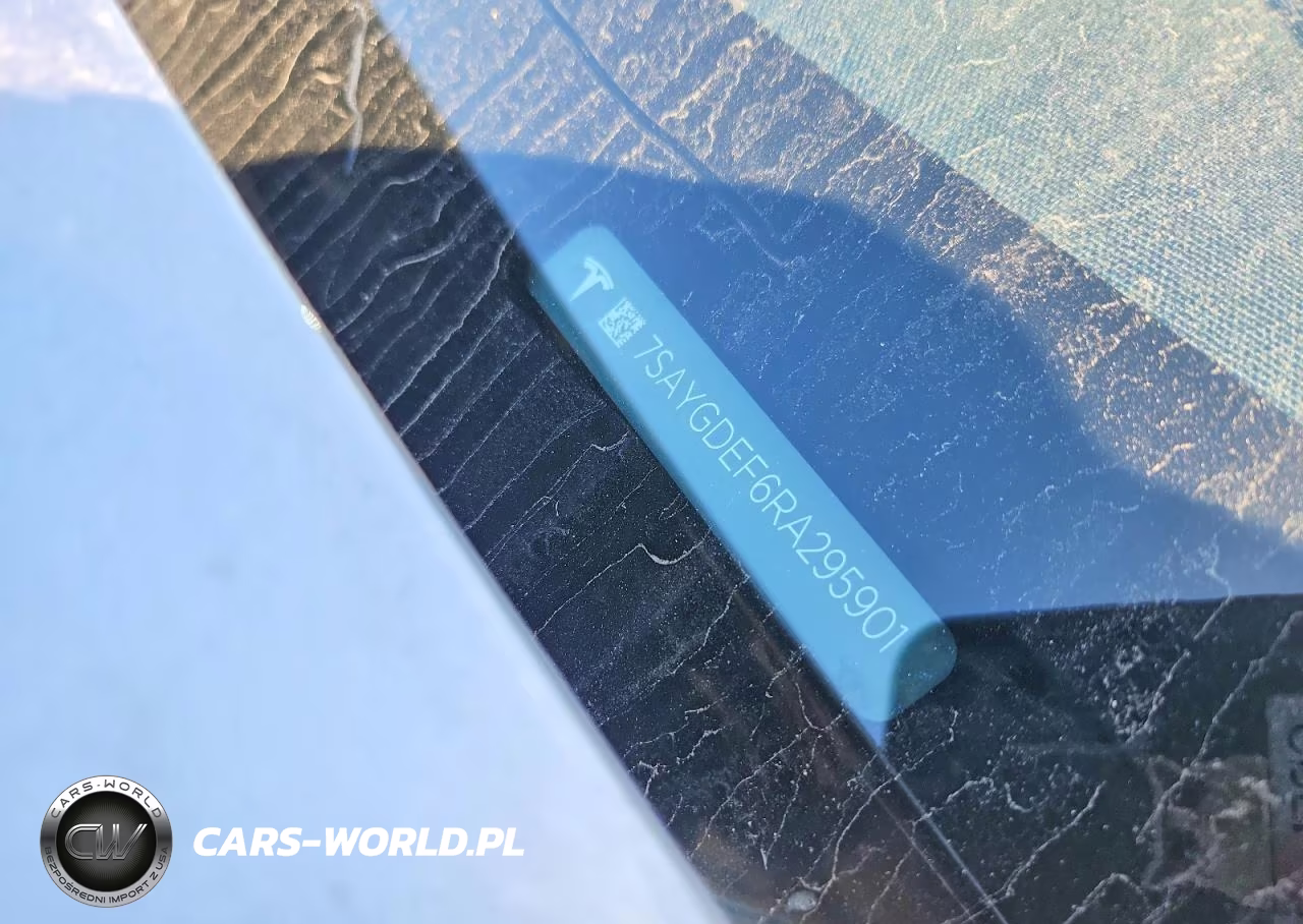 2024 Tesla Model Y VIN:7SAYGDEF6RA295901 - 12