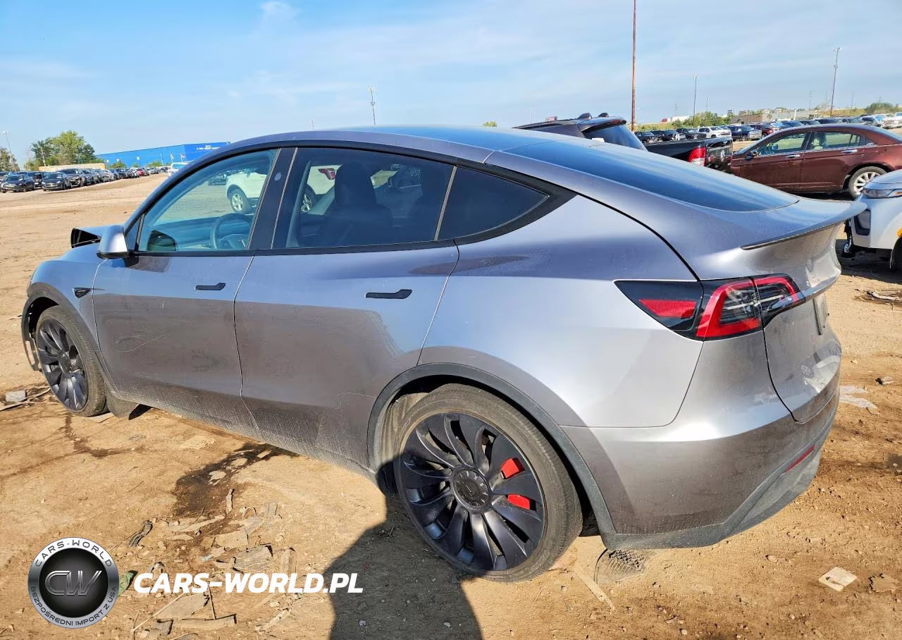 2024 Tesla Model Y VIN:7SAYGDEF6RA295901 - 2