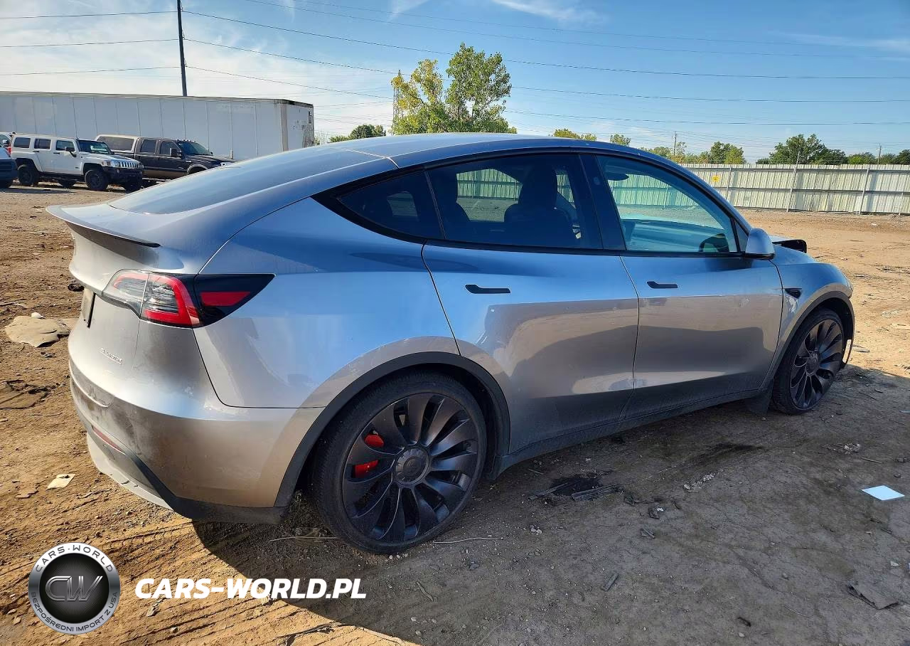 2024 Tesla Model Y VIN:7SAYGDEF6RA295901 - 3