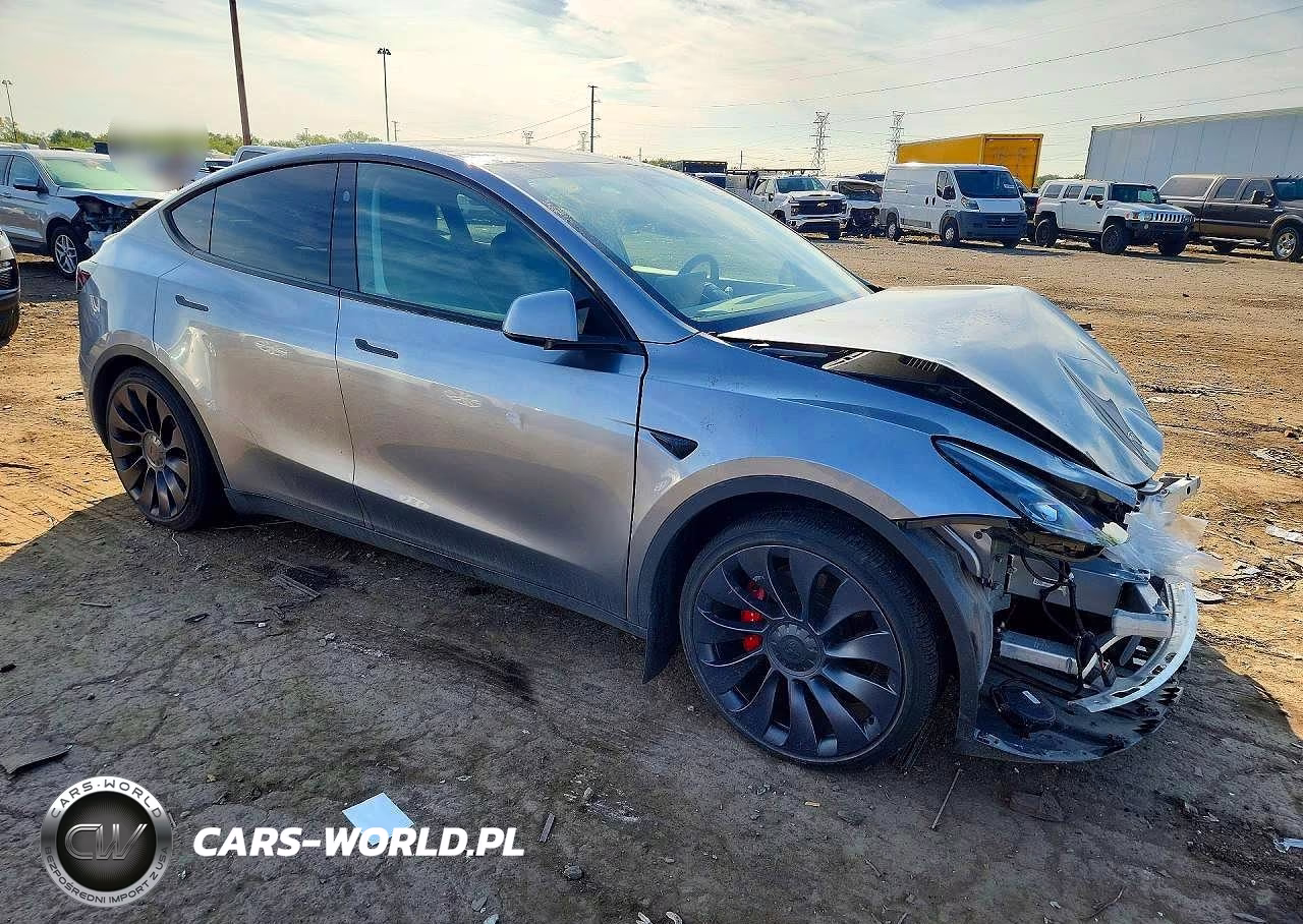2024 Tesla Model Y VIN:7SAYGDEF6RA295901 - 4