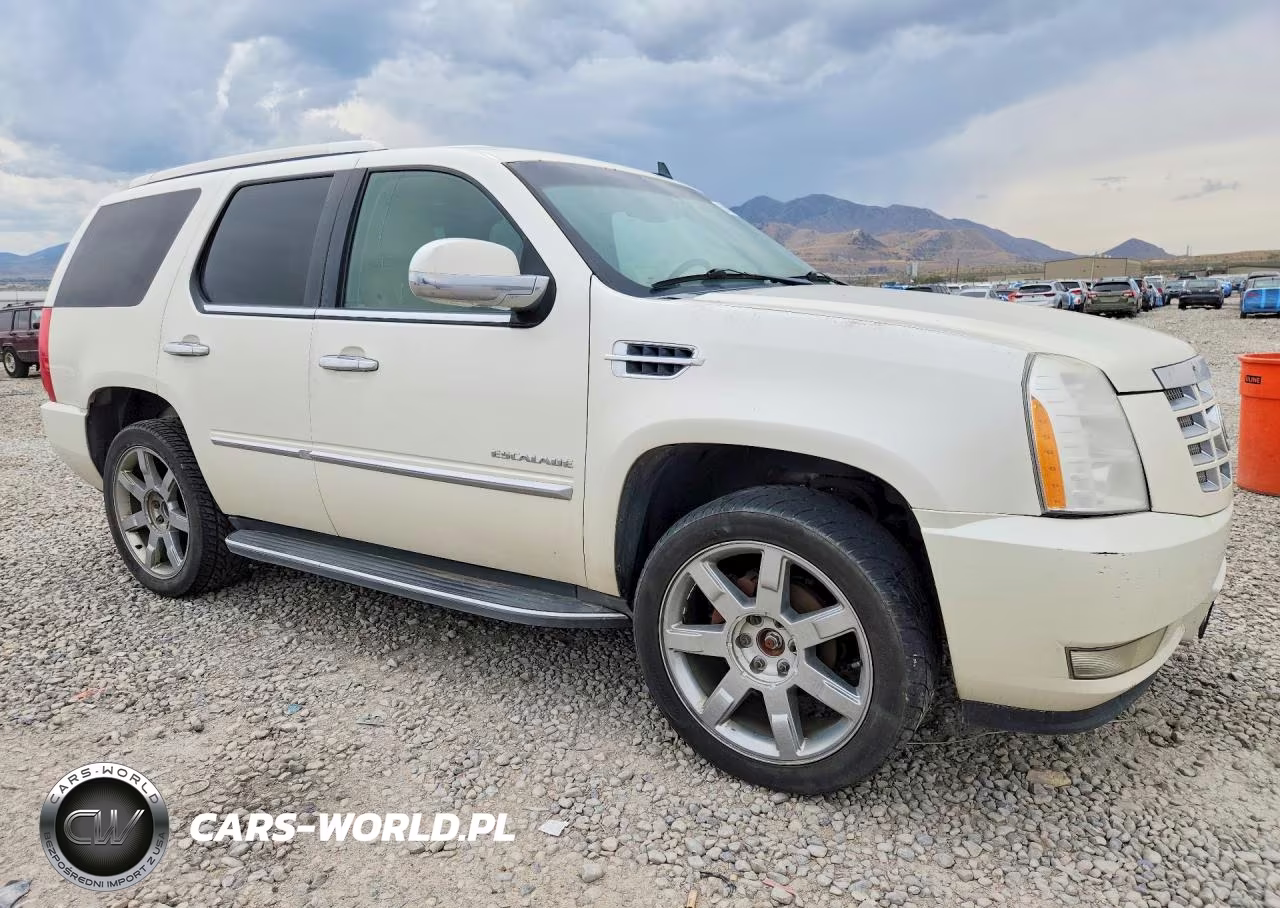 2012 Cadillac Escalade Luxury VIN:1GYS4BEF3CR142861 - 4